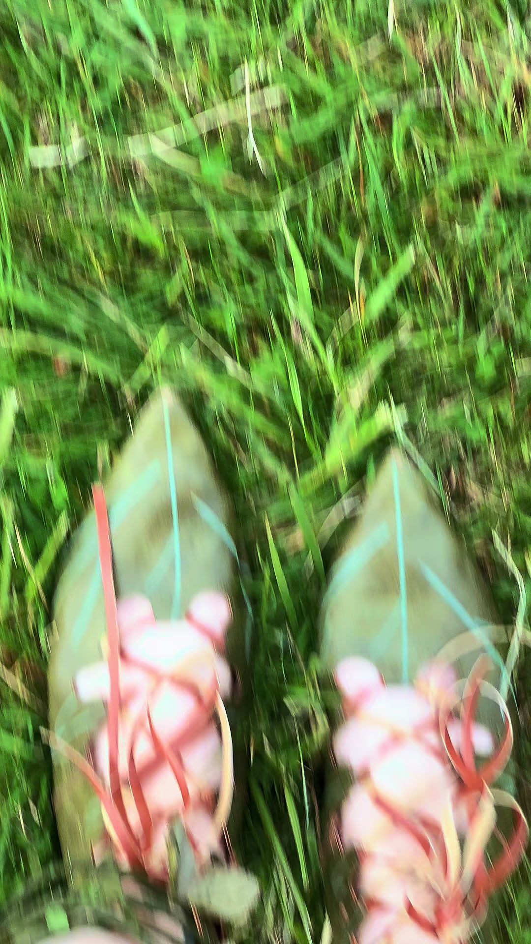 @Bukkit 🪣🍉