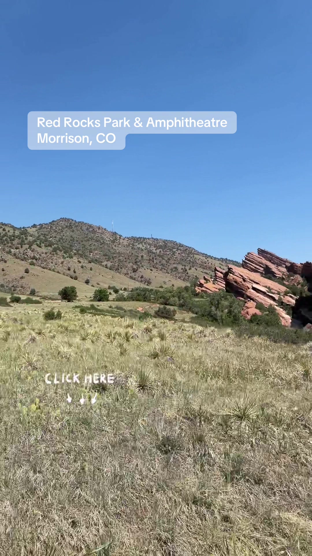 @Colorado Business Finder