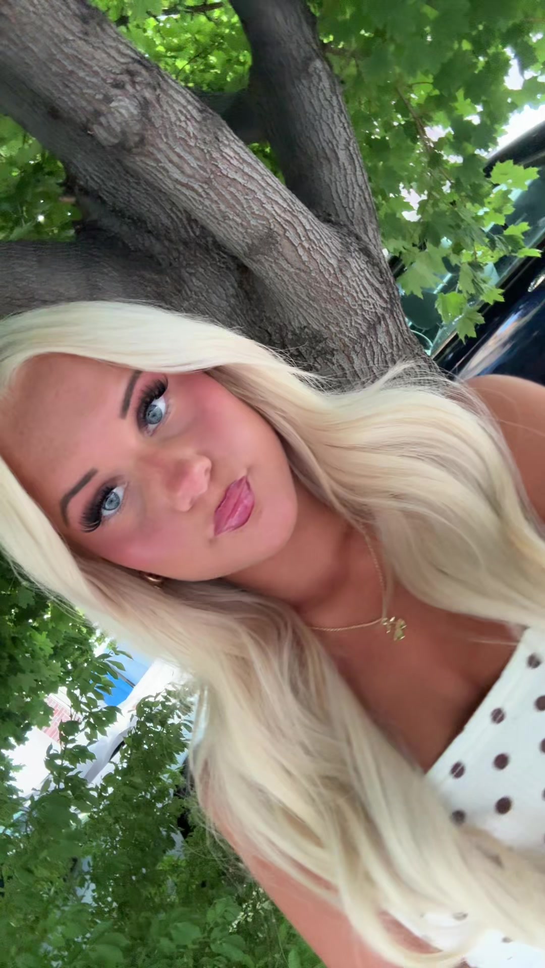 @alyssa