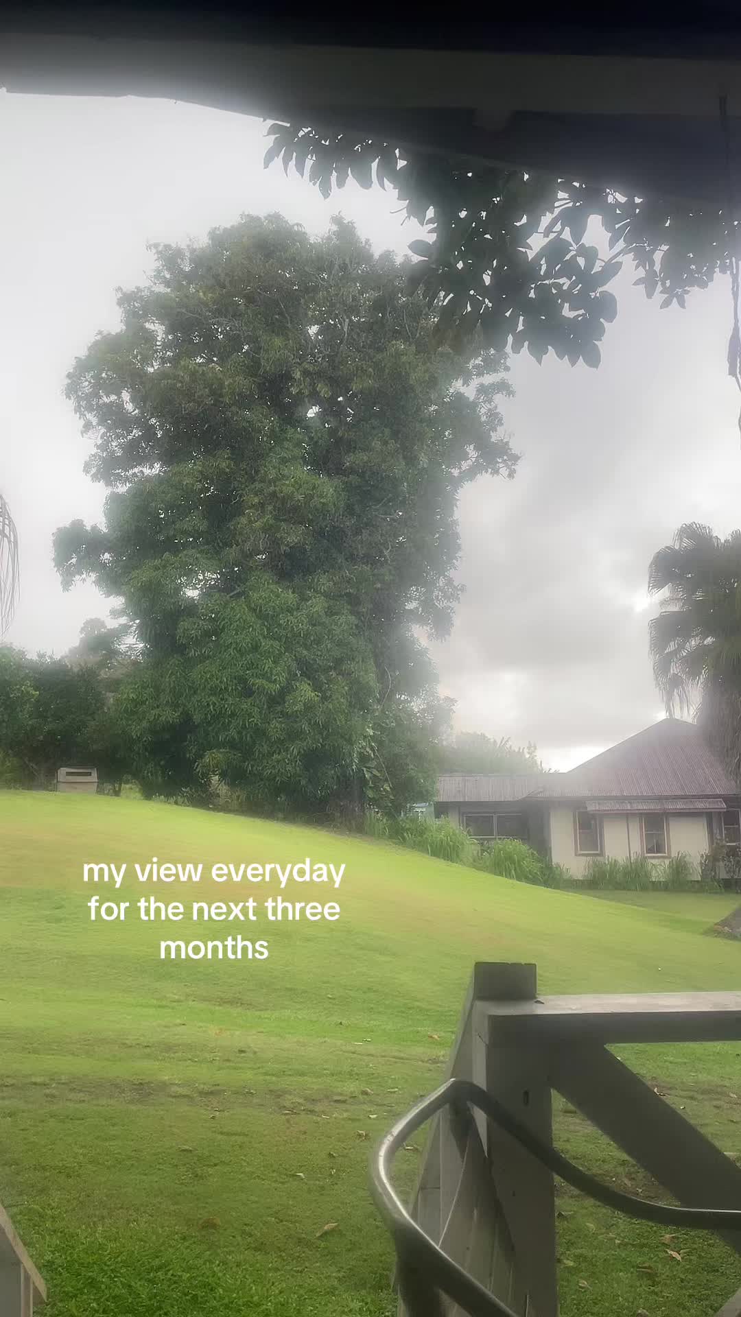 @ch🅰️lyce(shaleese)
