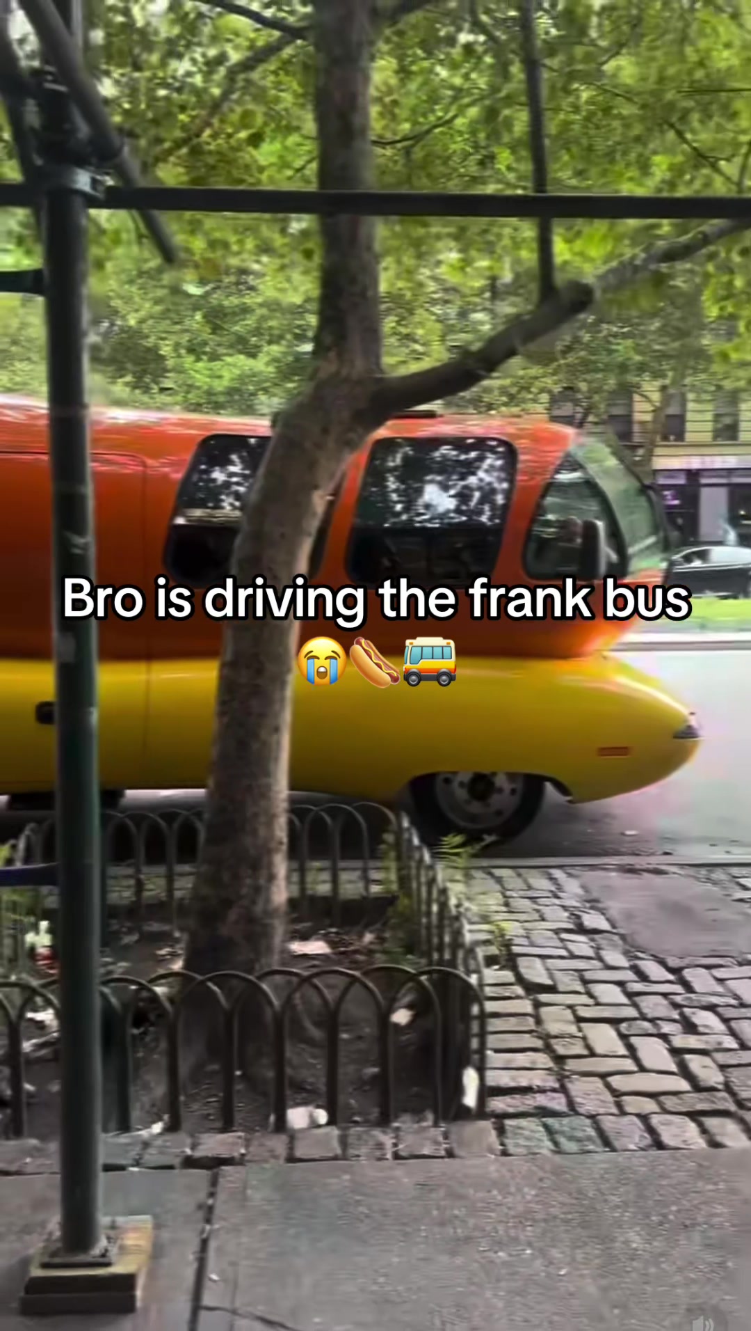 @Hxbitz