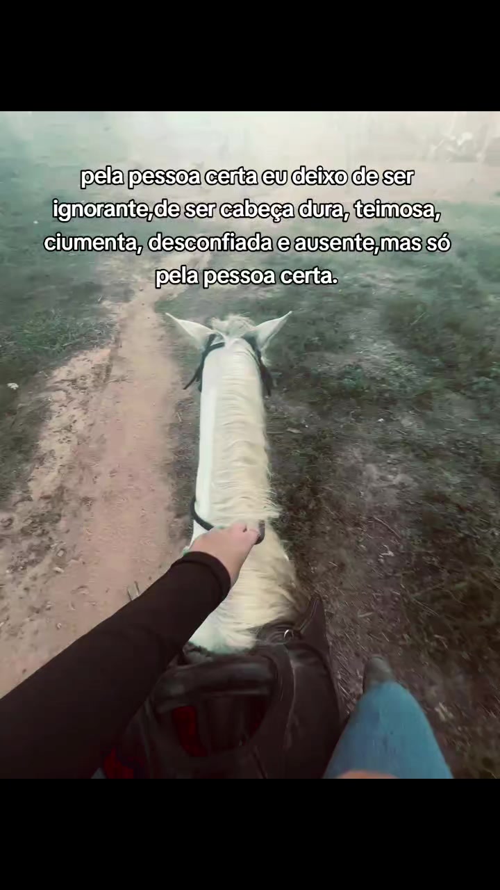 @Barbalho