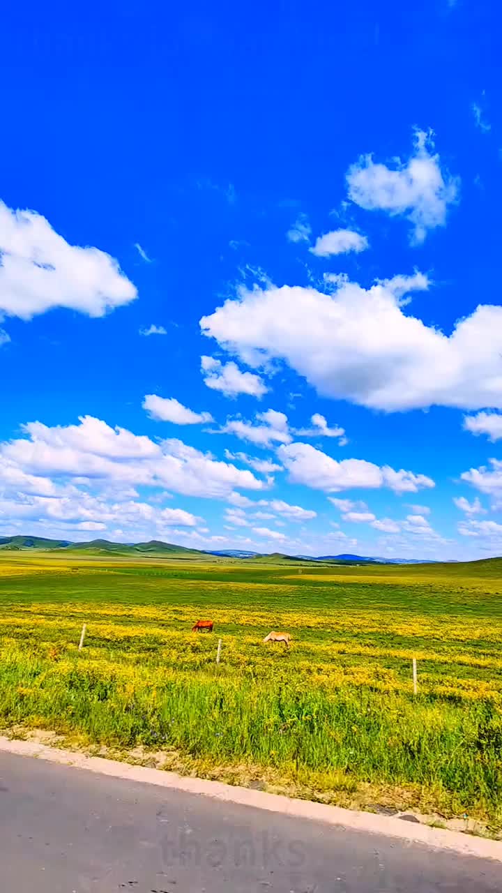 @marvinchen2b71