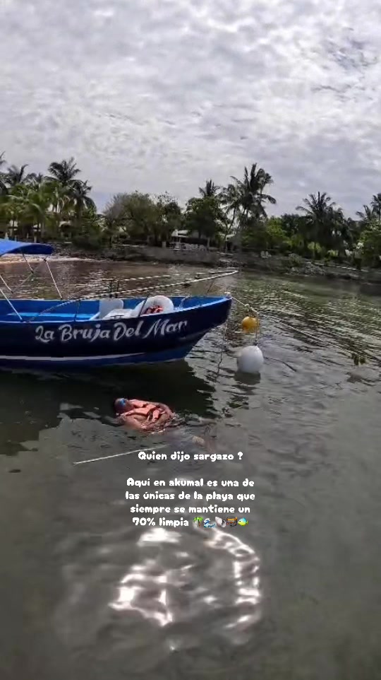 @akumal mayan vip tours