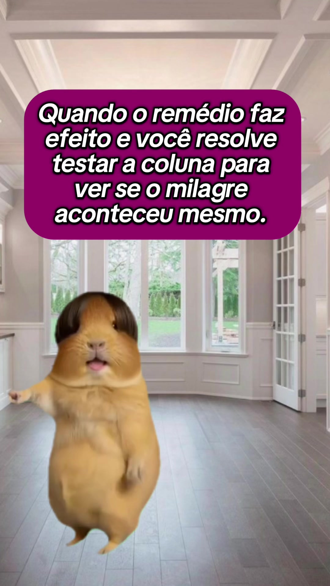@tababadeira