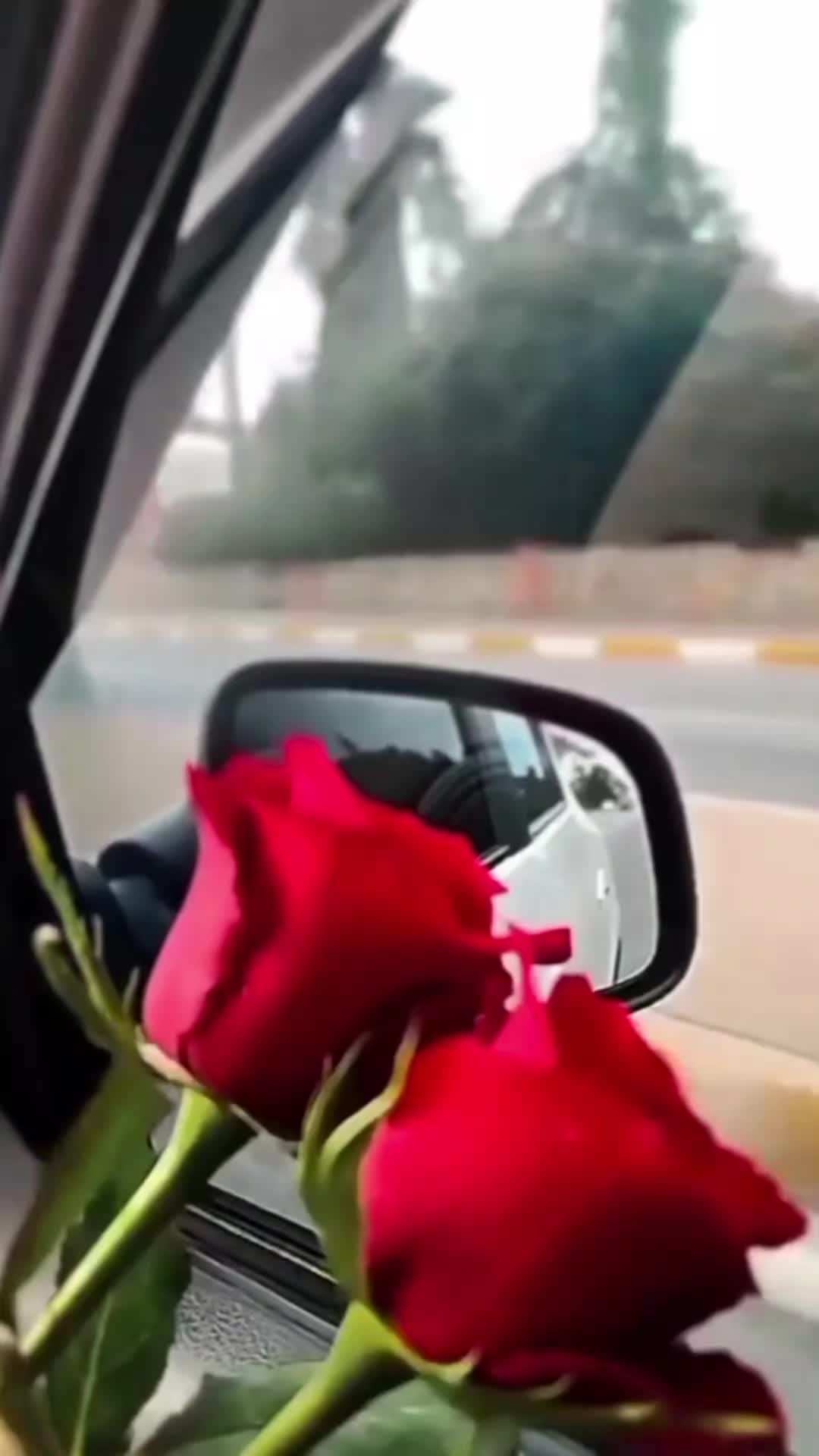 @Leyla 28 05 2021