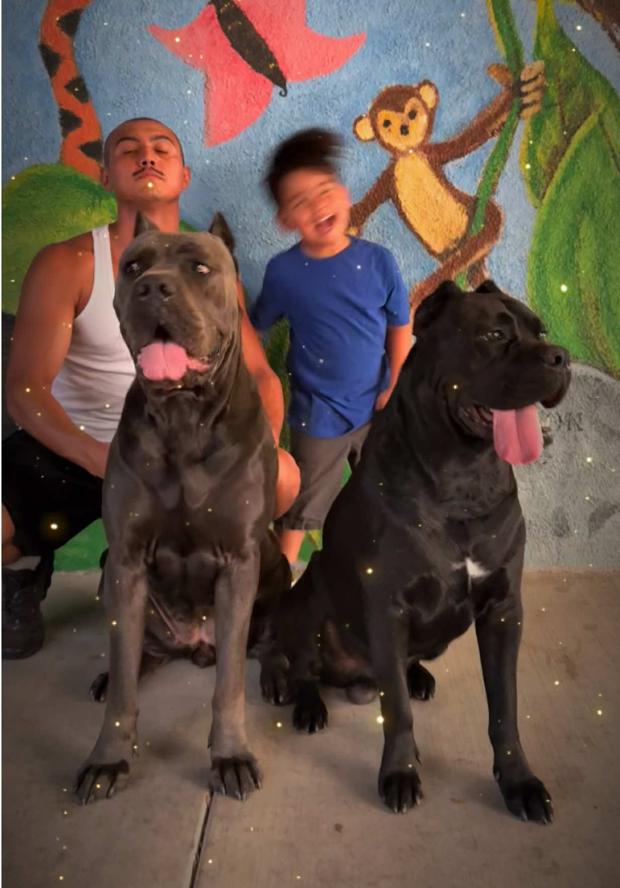 @noblepridecanecorso