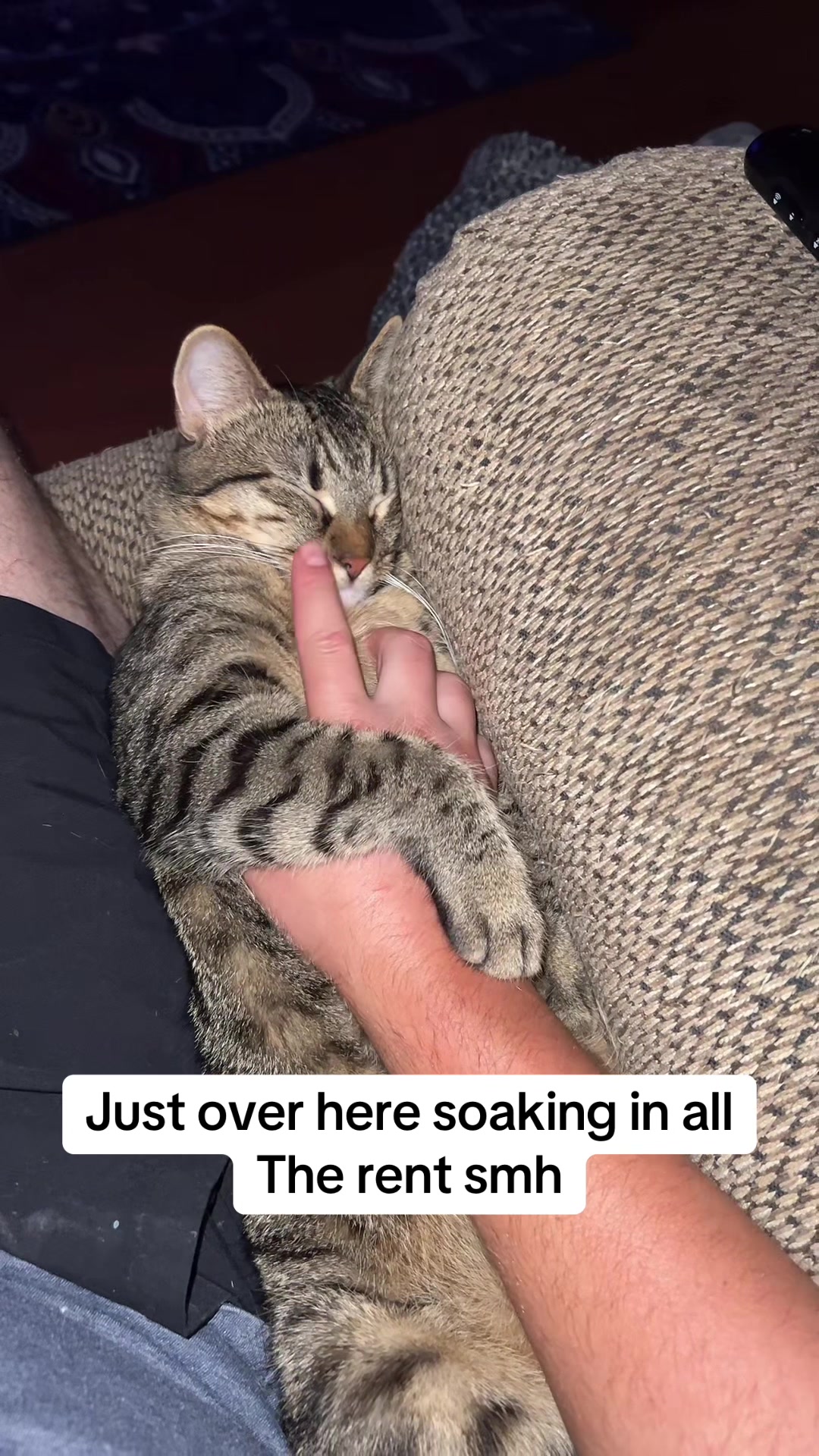 @Cowboy_Beam
