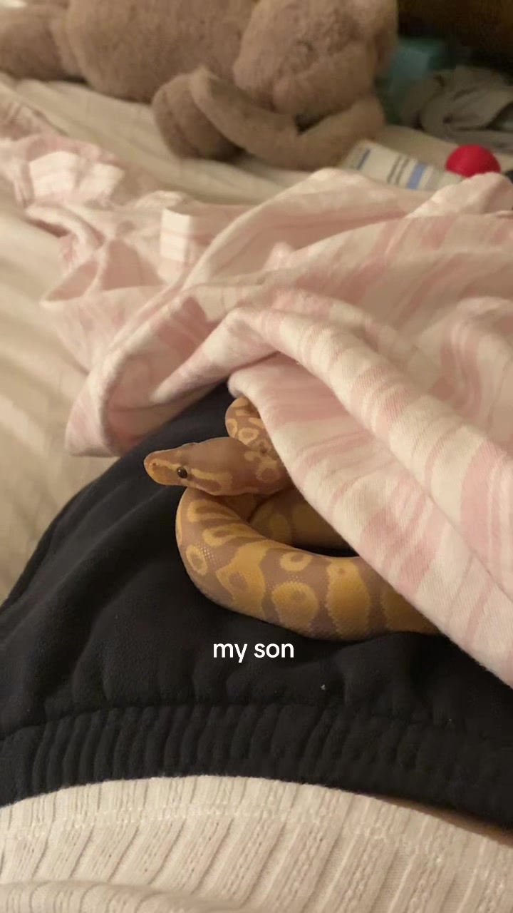 @Holly Jean