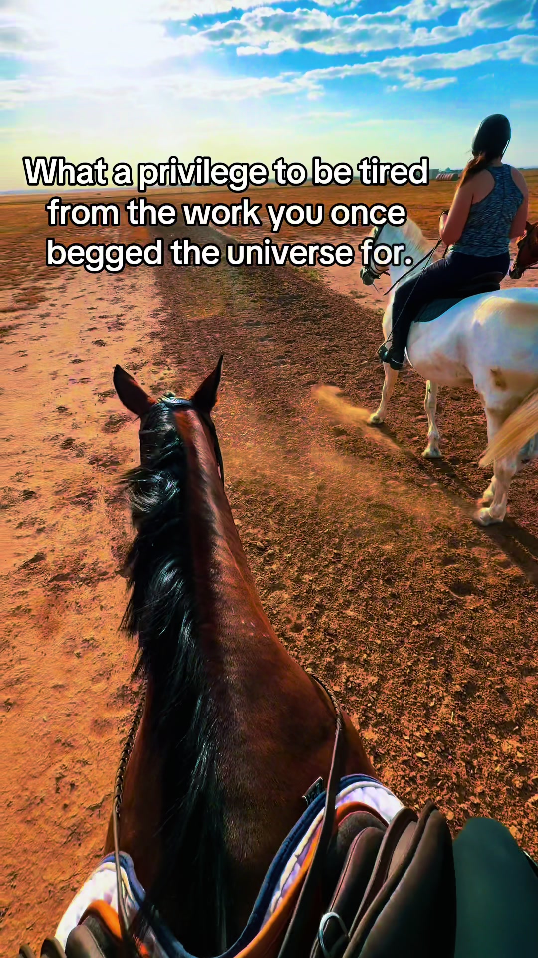 @Grace Equestrian TX