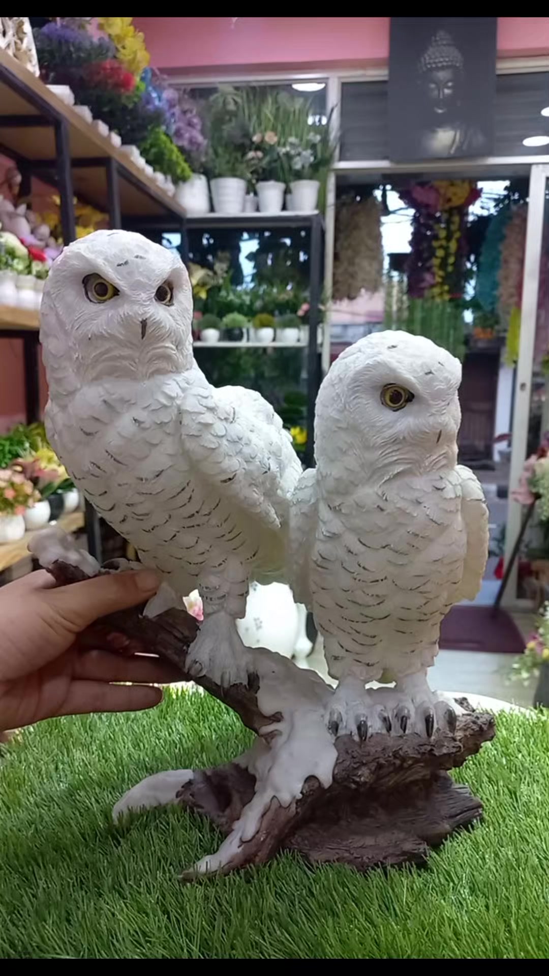 @Flora_p0int-dhumbarahi