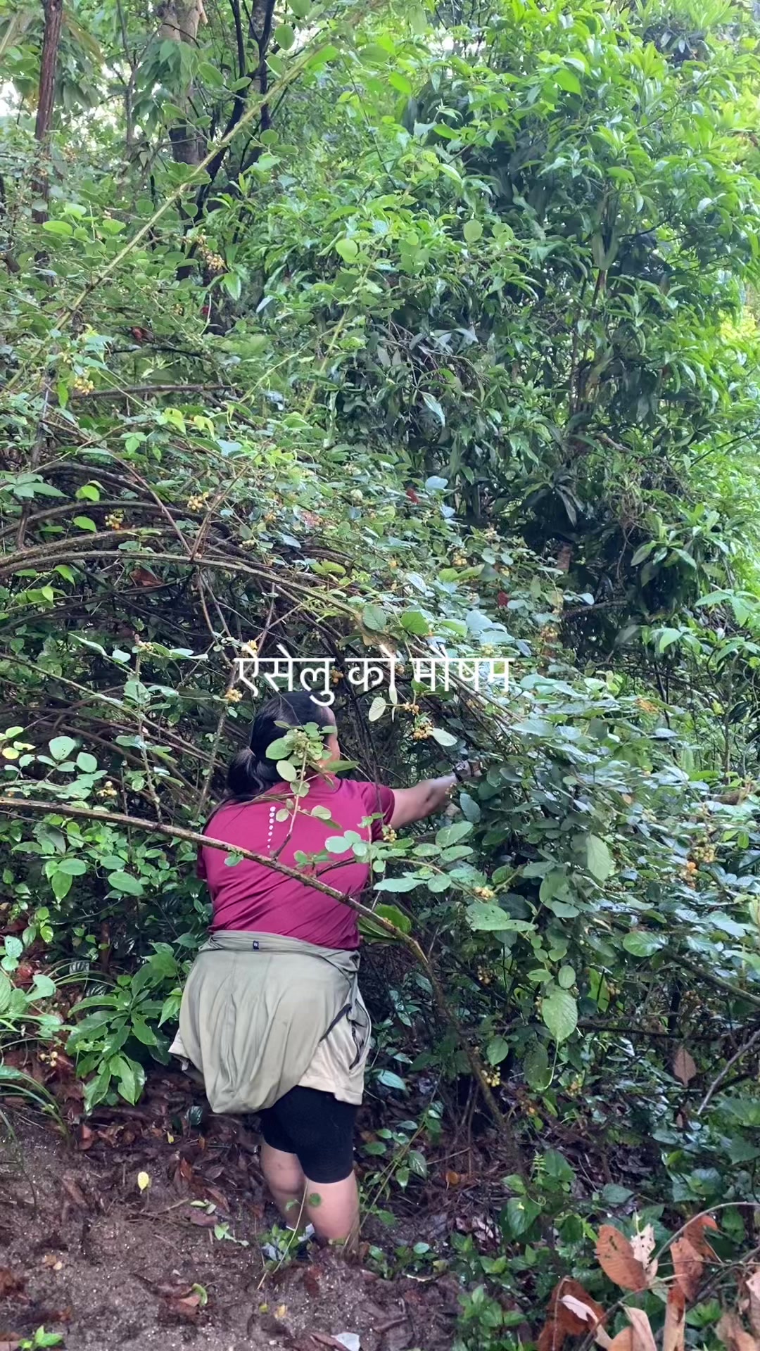 @Puja Pariyar