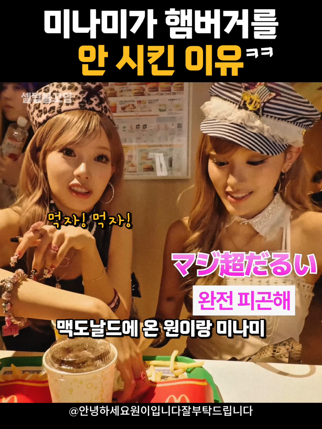 @셀럽볼꼬양