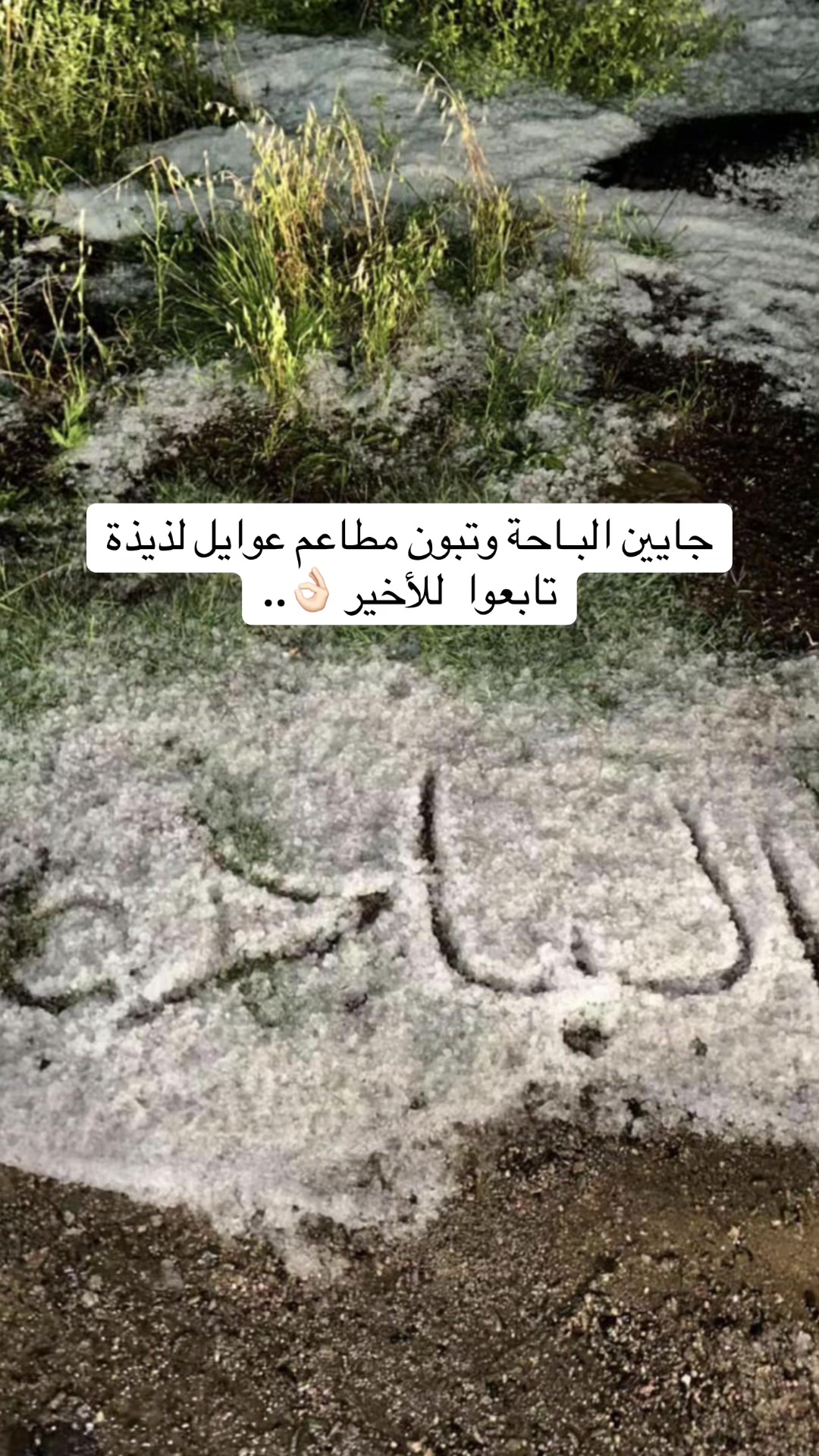 @رشــا الغامدي 🎀 موثوق⭐️..