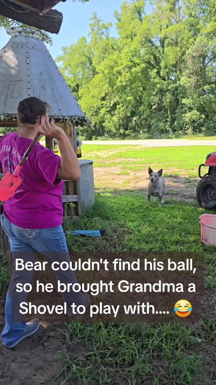 @Small Town Farm LLC