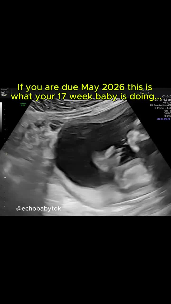@Echobaby