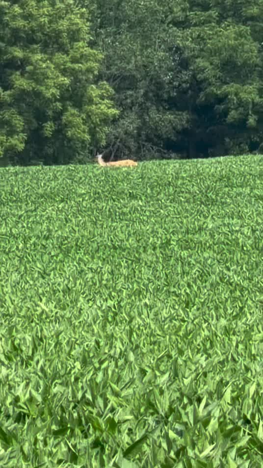 @Buckmasters Outdoors