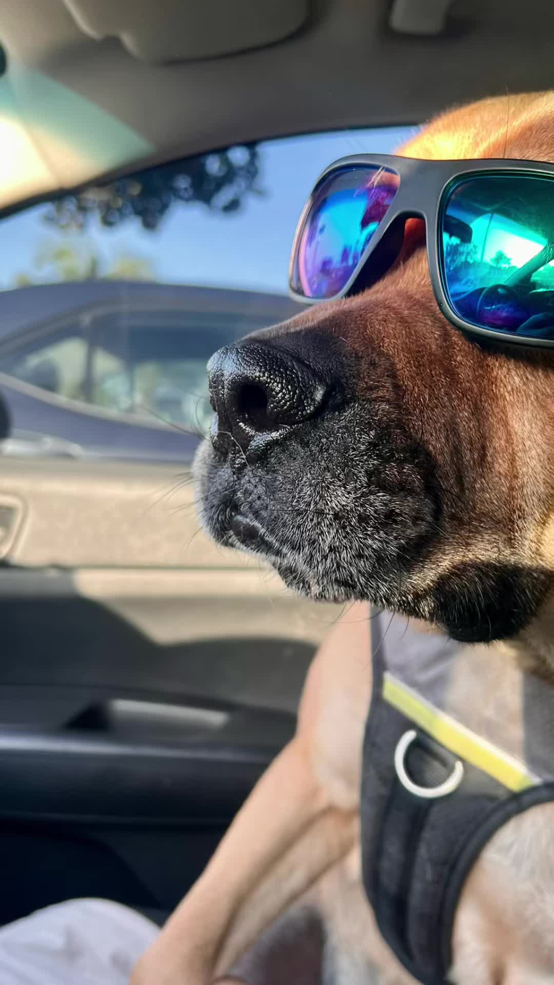 @User#5Outside🗺️