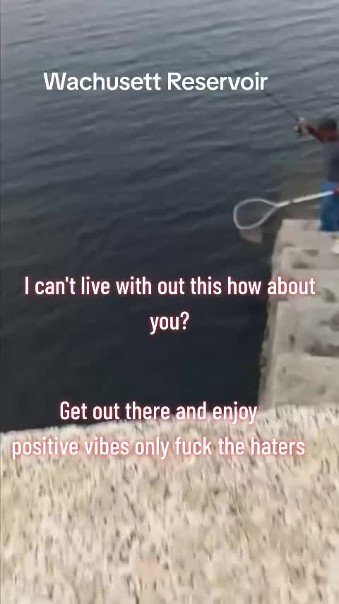 @Carlos Pagan