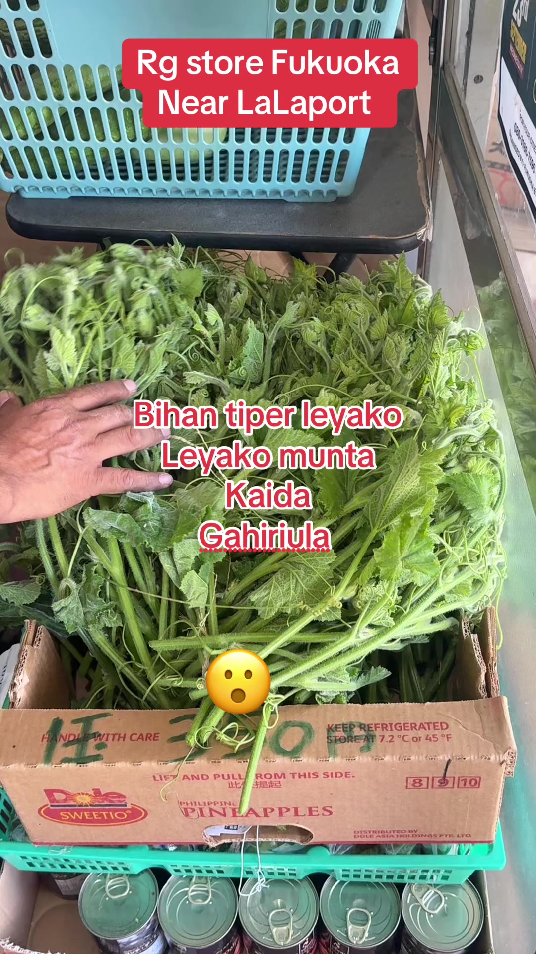 @RG Store Fukuoka LaLaport 🧿