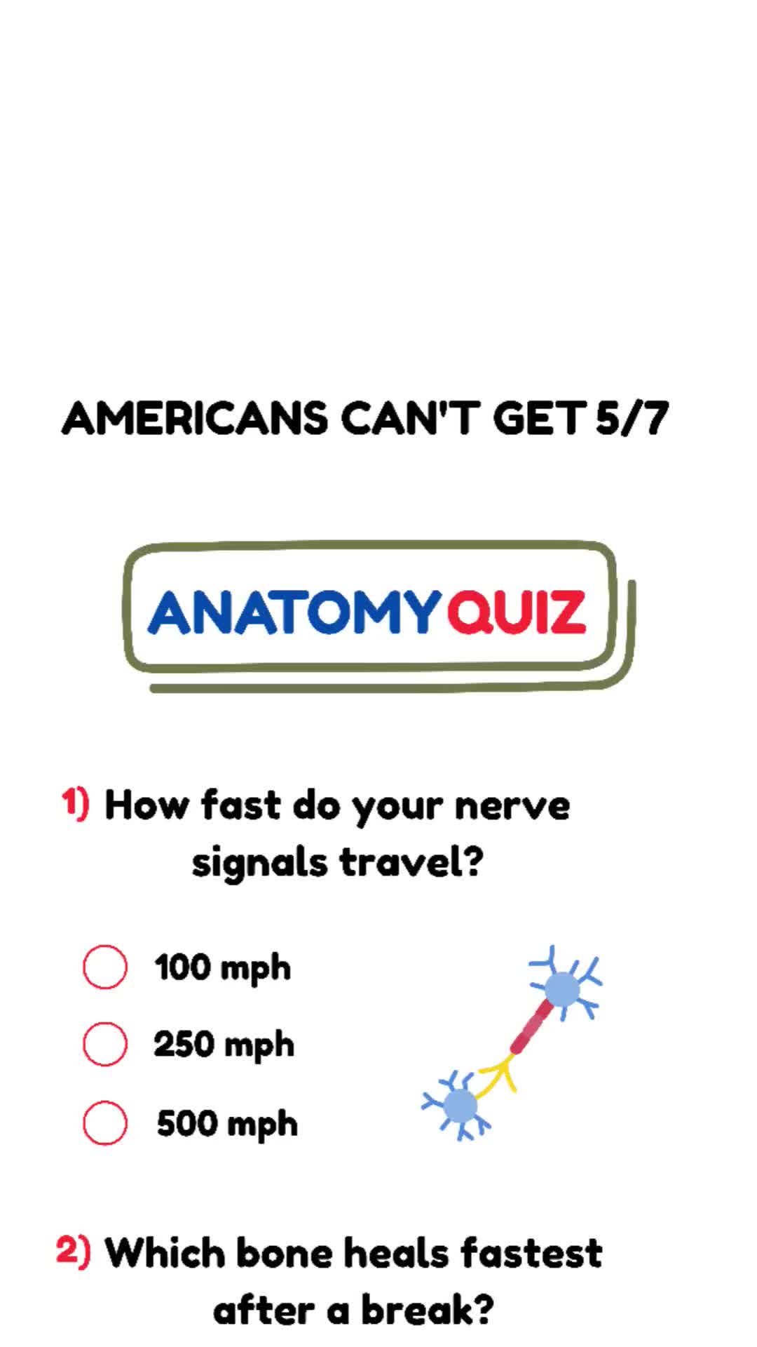 @quiz station