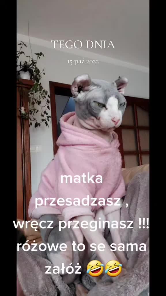 @Animal merwige fci