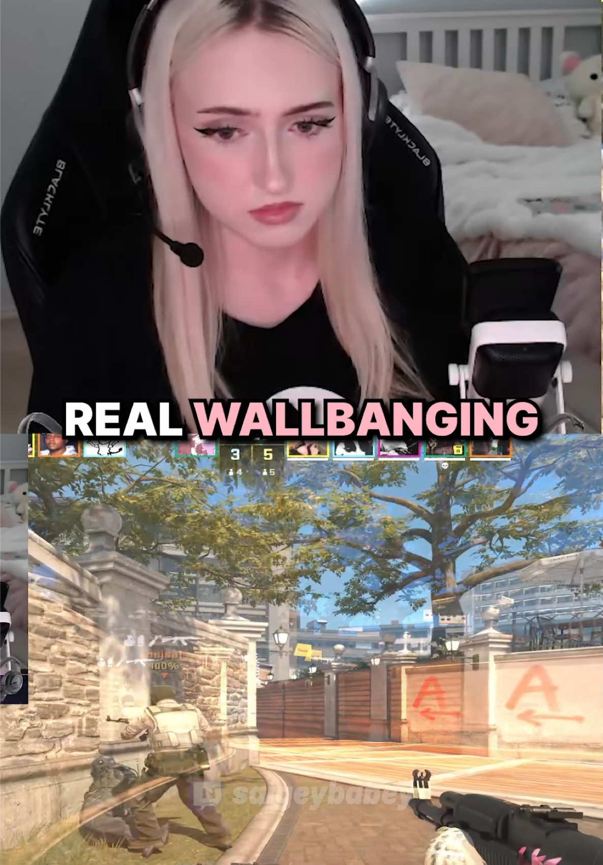 @saigey ♡