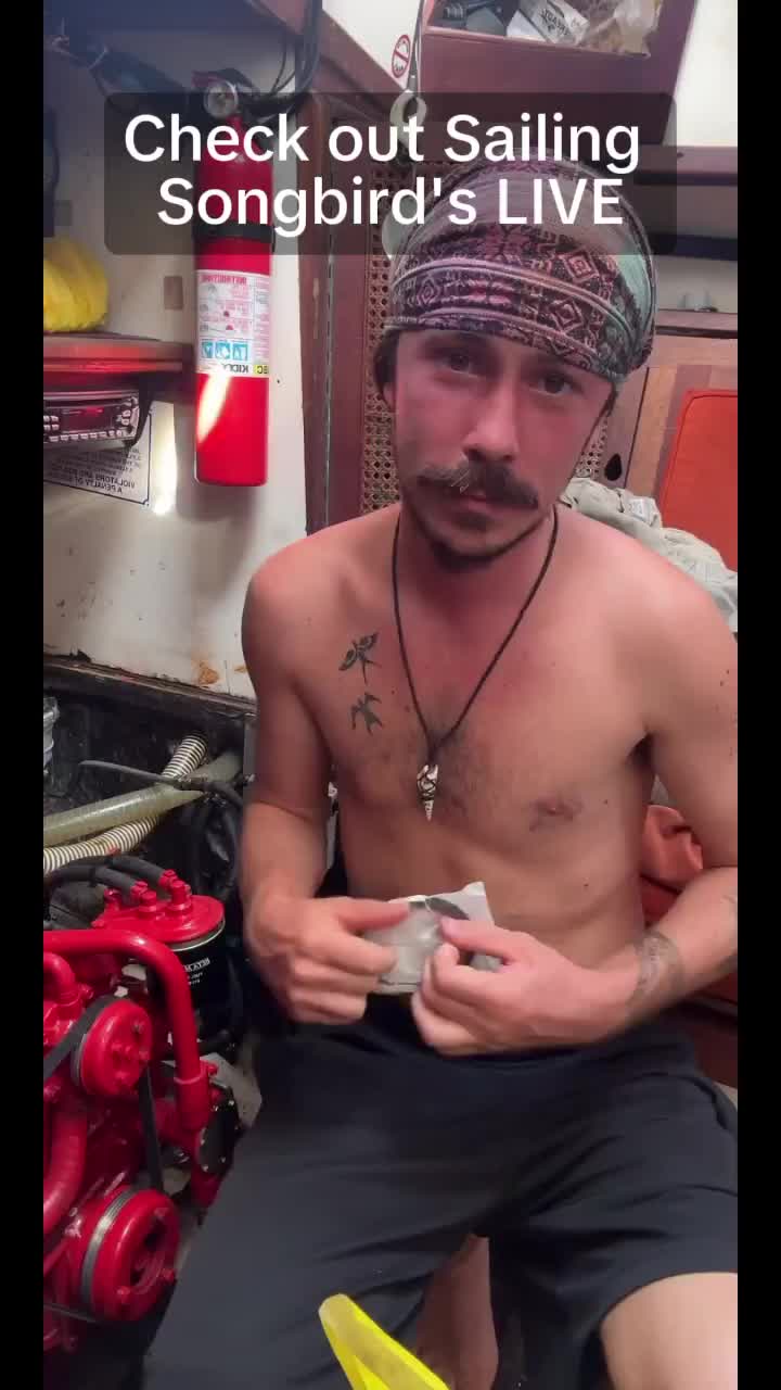 @DoggoDogz