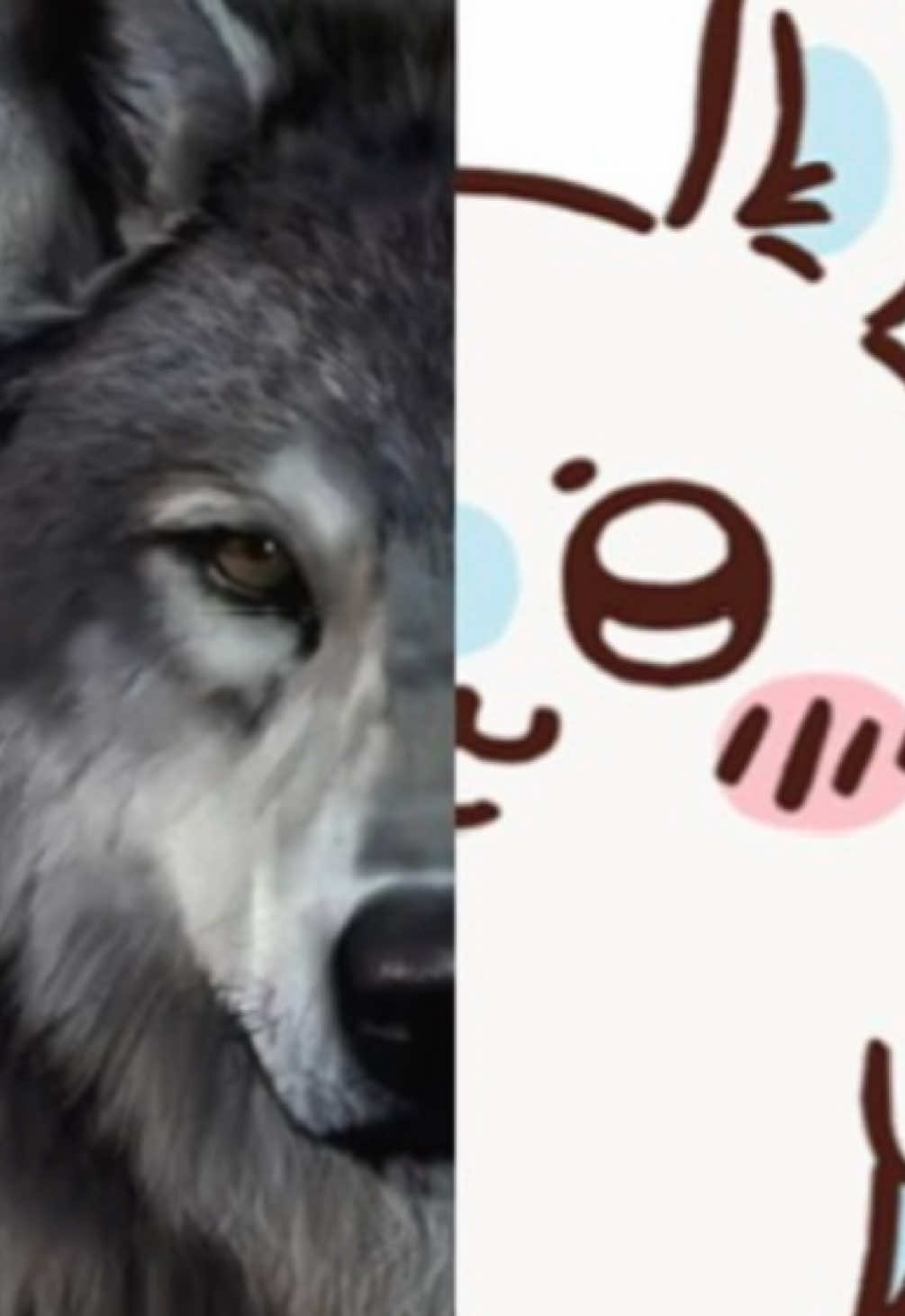 @𝐦𝐚𝐝𝐢𝐬𝐨𝐧