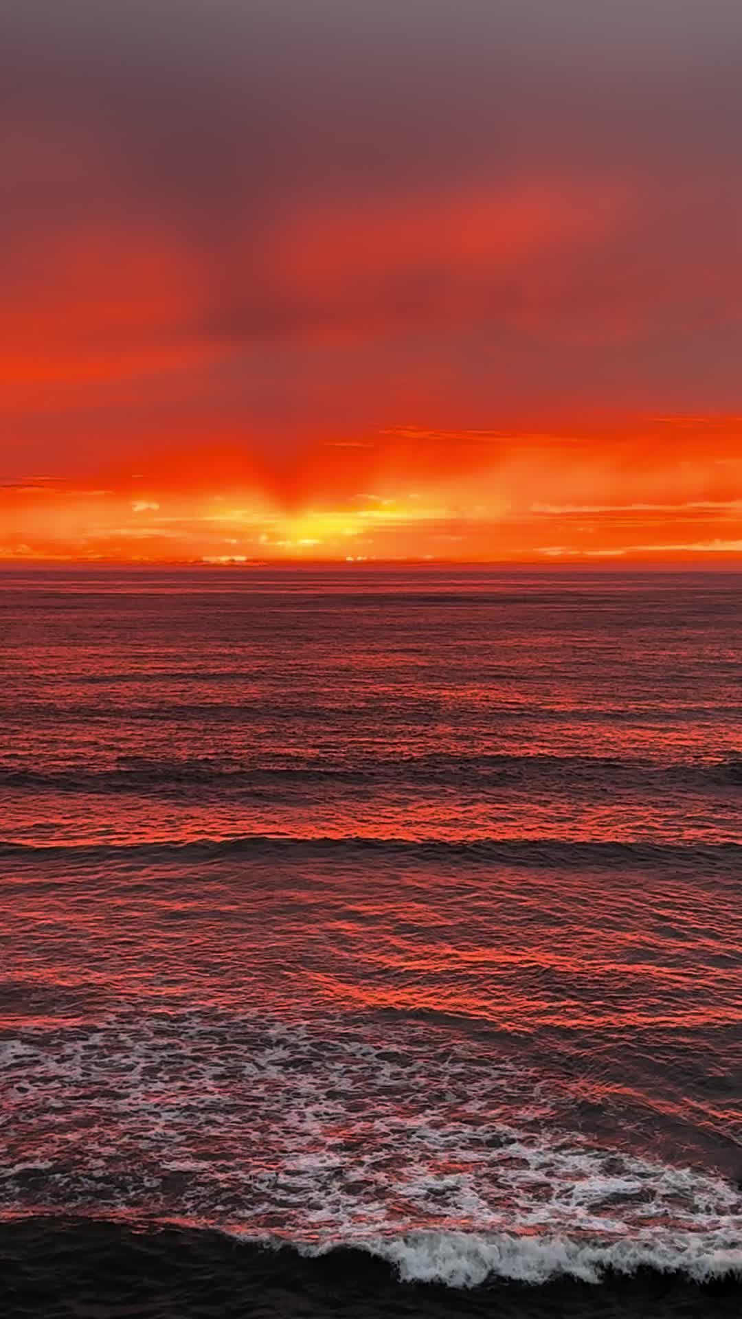 @San Diego Beach Review
