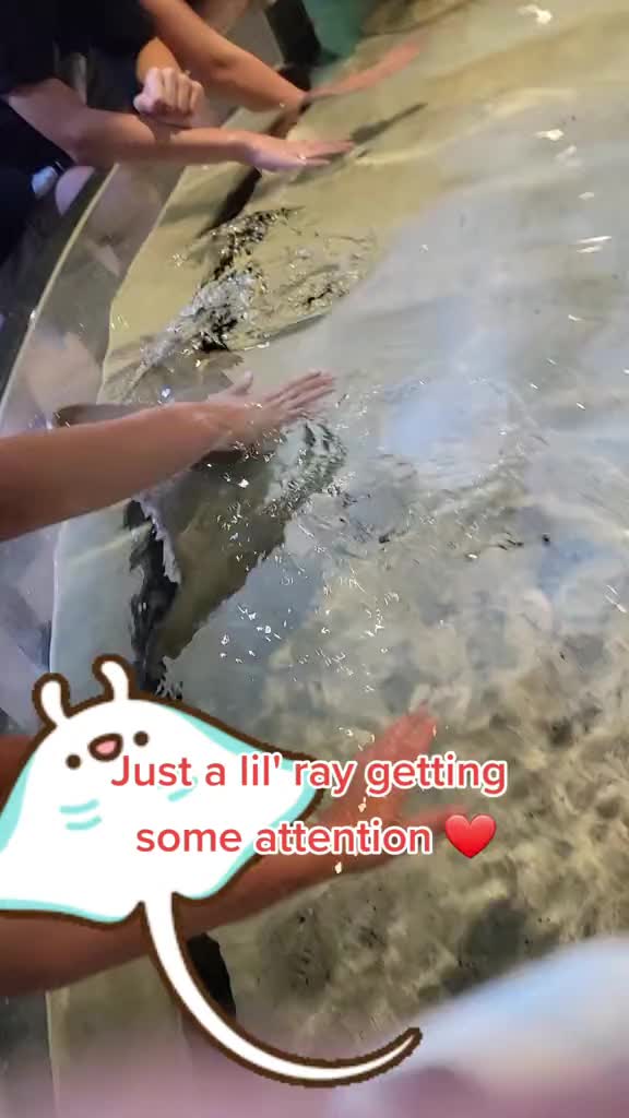 @delilahhayden18