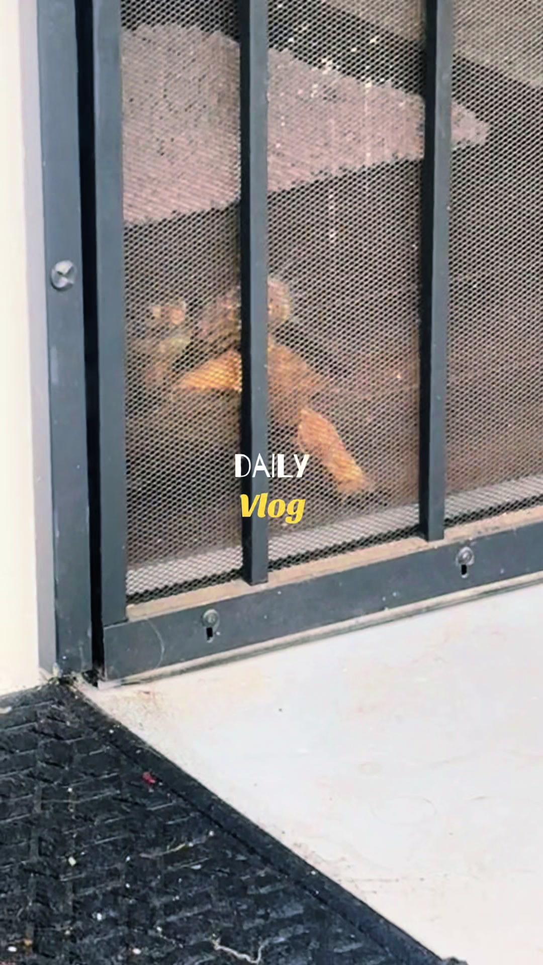 @Gonz