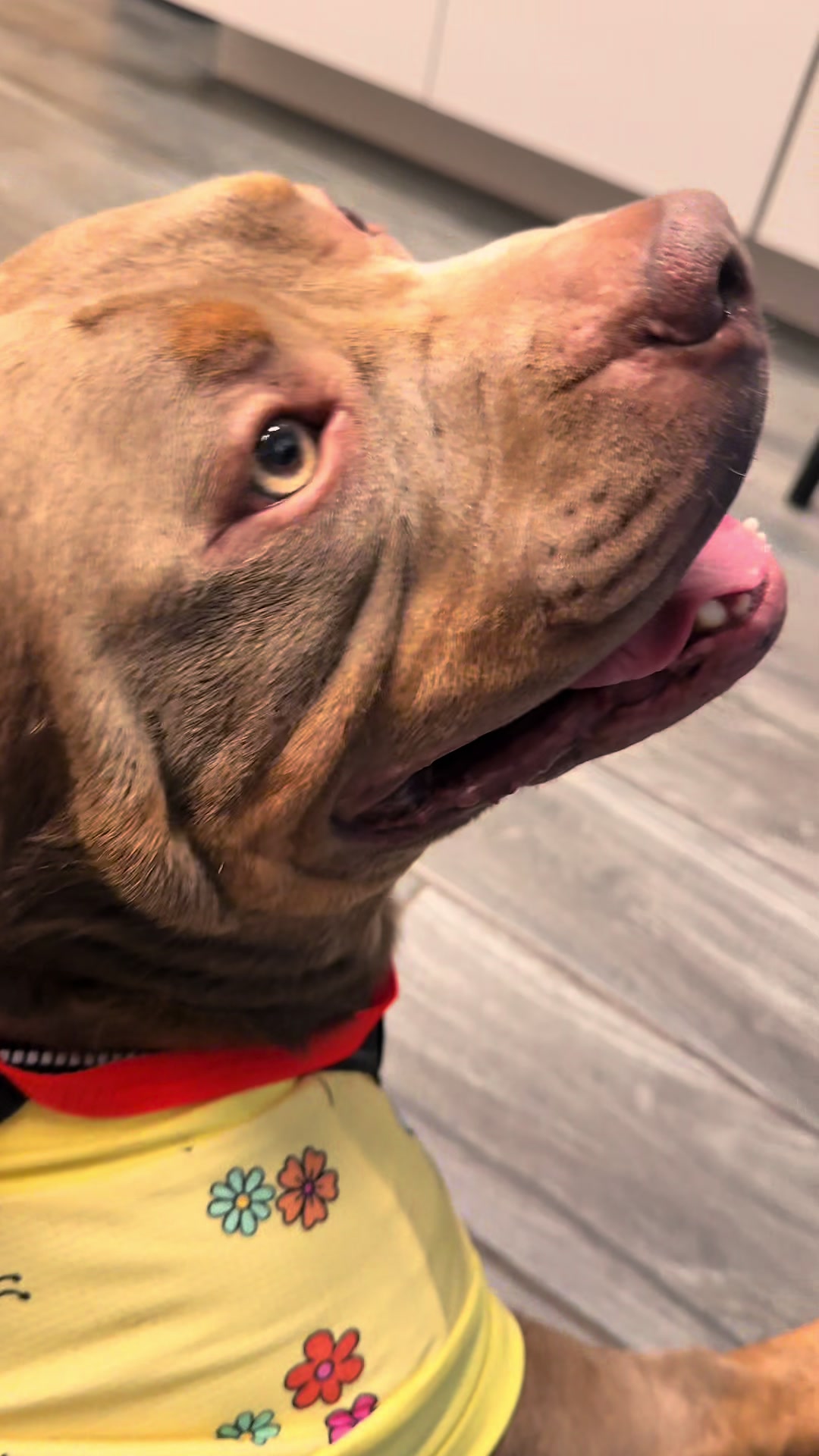 @Bark’n & Park’n