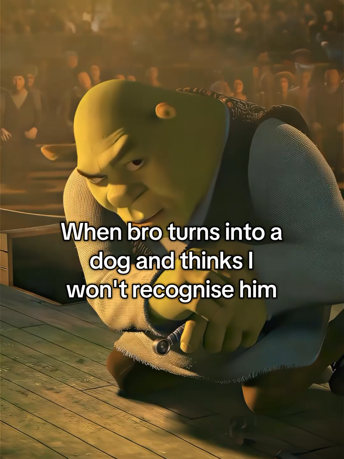 @Oddysey