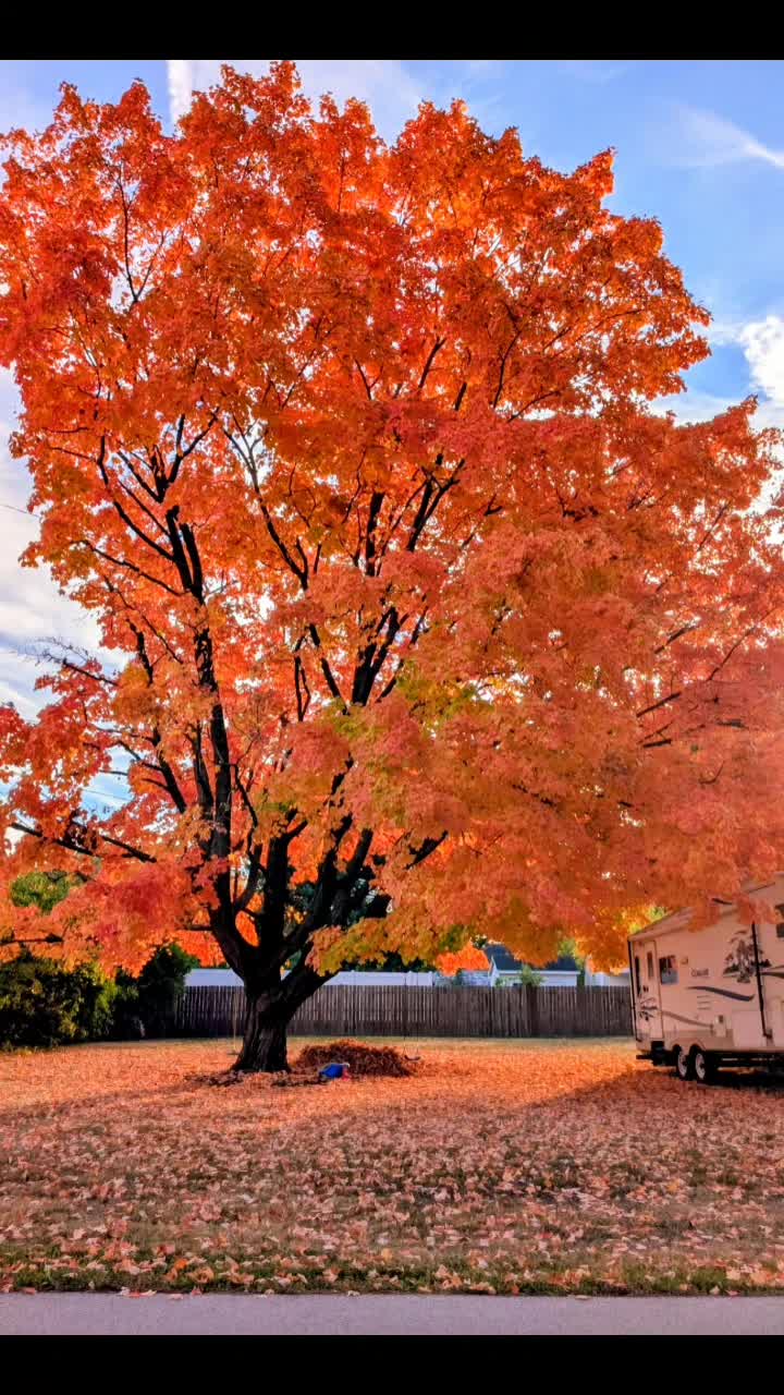 @NatureMan_Official_1