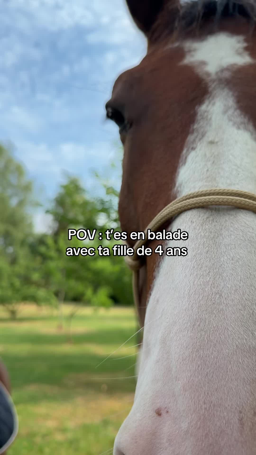 @Cavalière de Grand Pré 🎠
