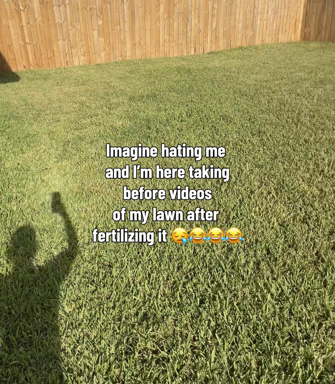@DreaBzn