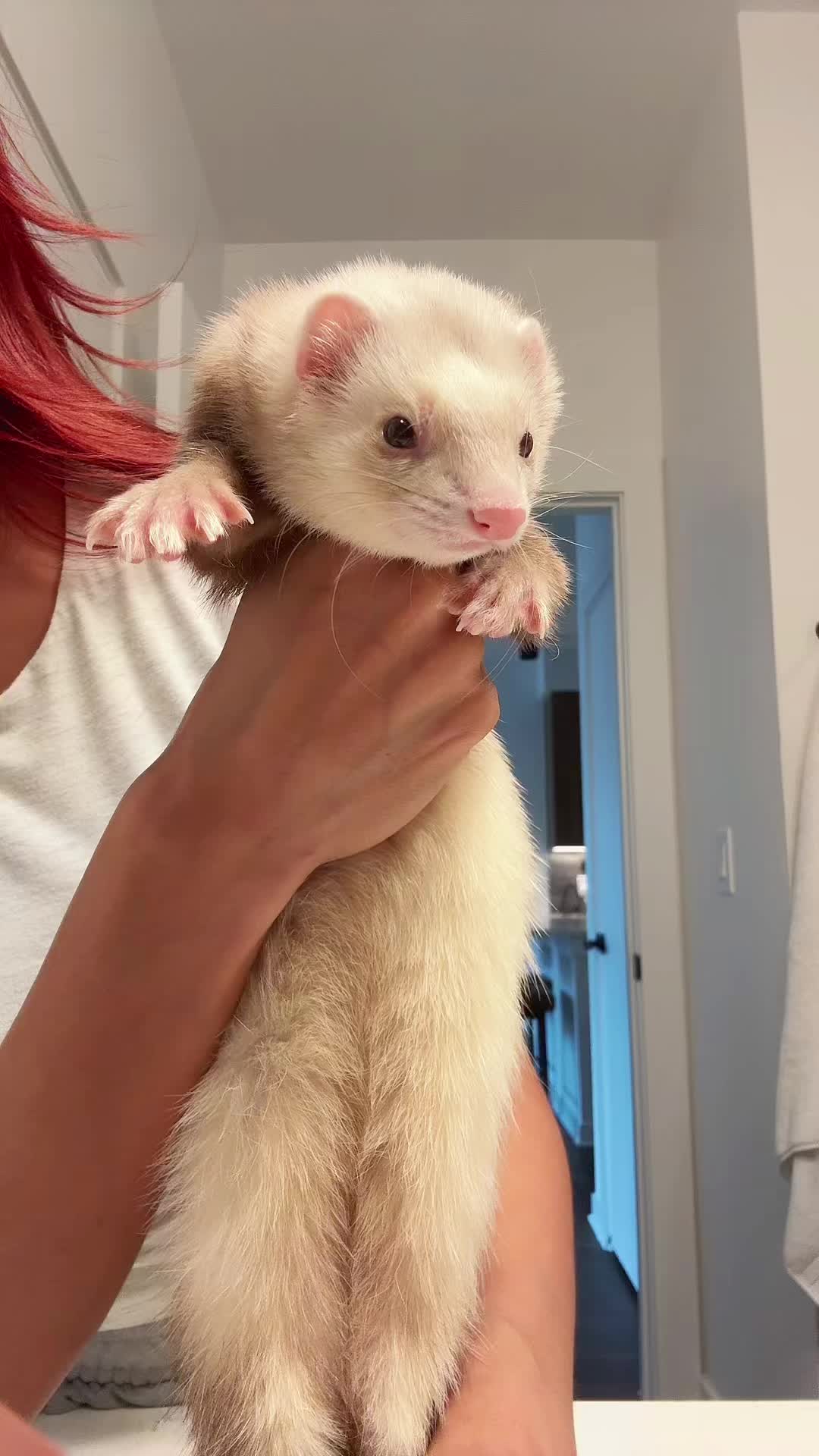 @Moon & Nala