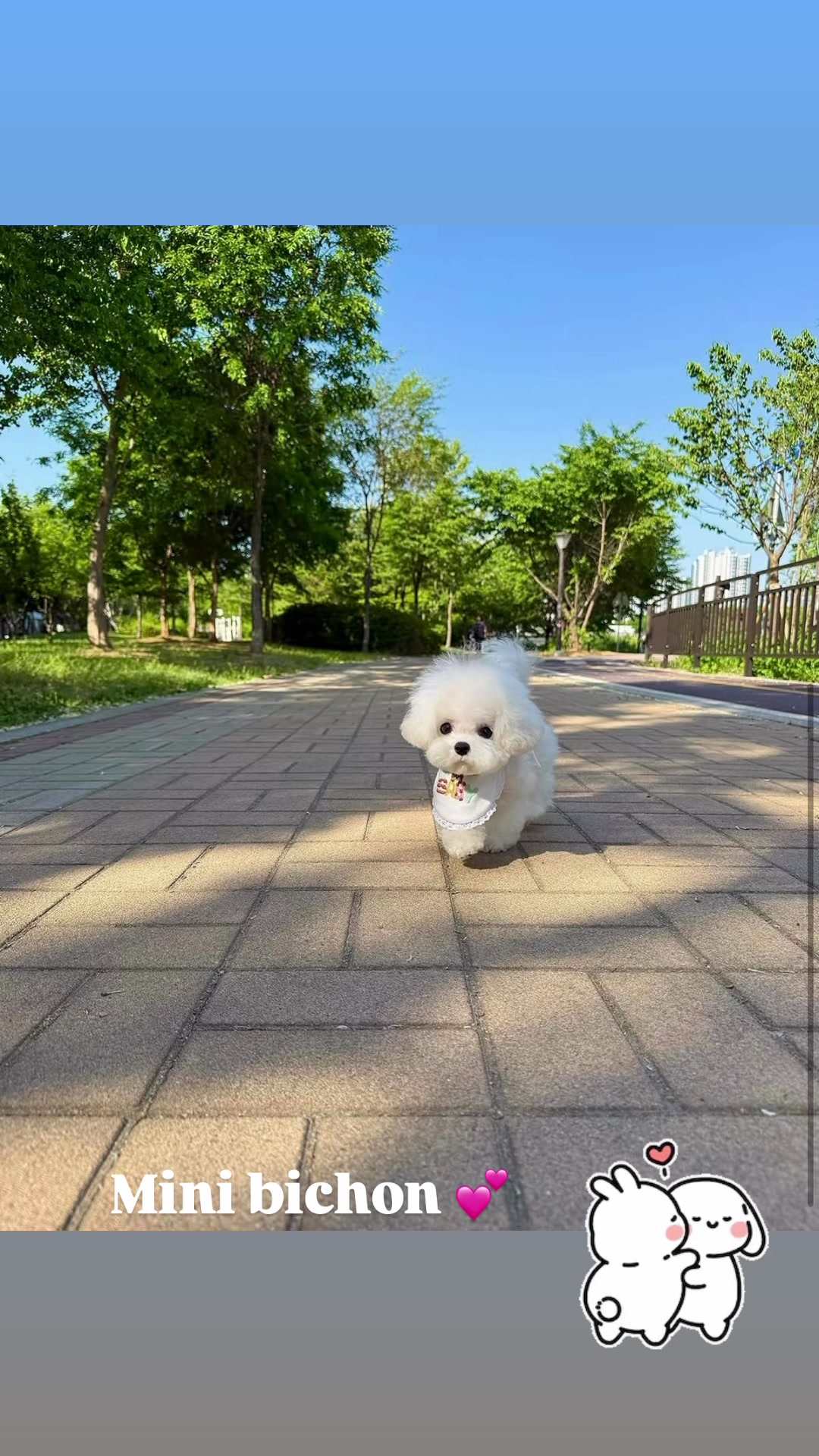 @pupsrepublicusa