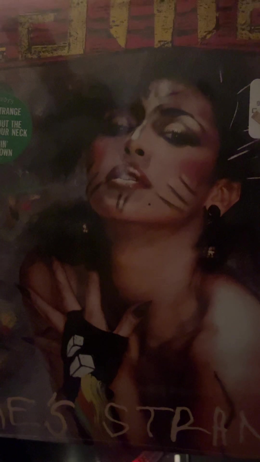@The Vinylist