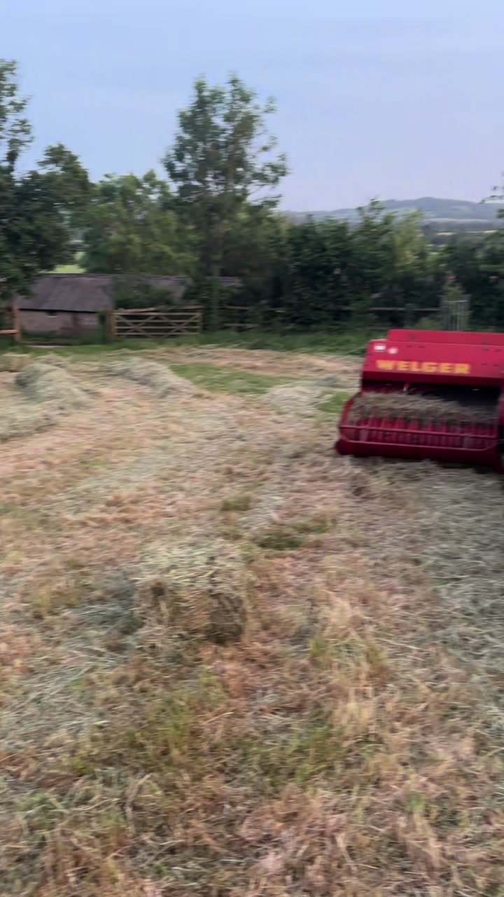@henryjohnsen 🚜 🐄 💥