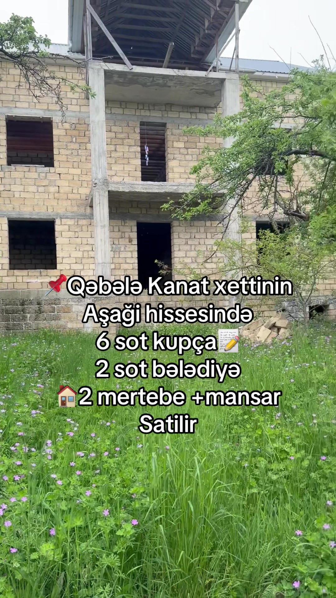 @Qəbələ Əmlak Ruzi