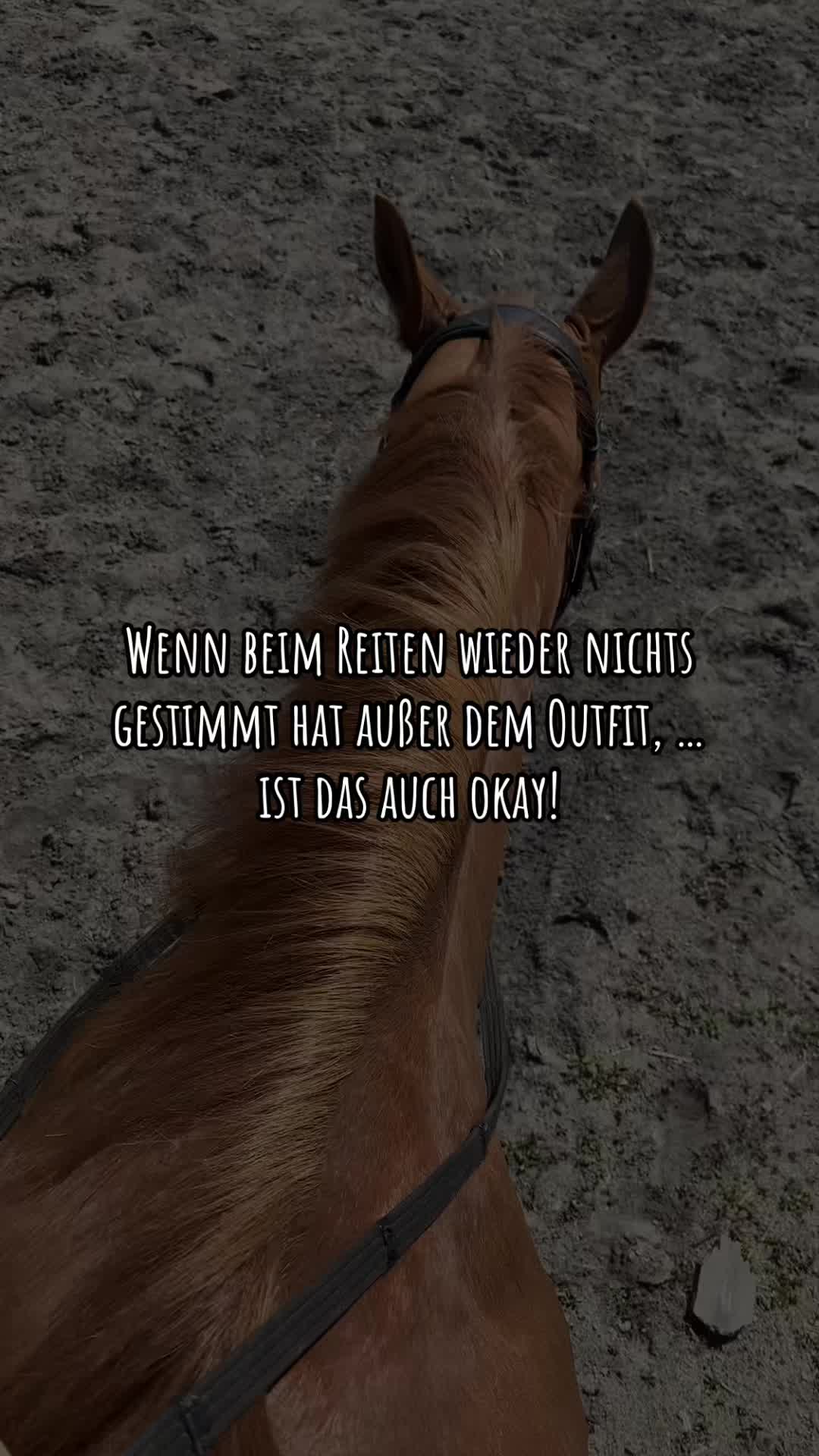 @show.jumper_speedy