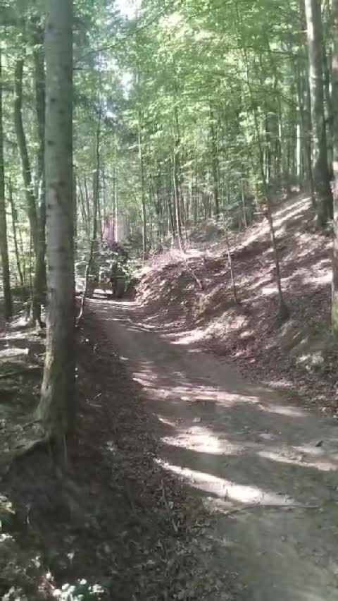 @@krenn-holz-forst