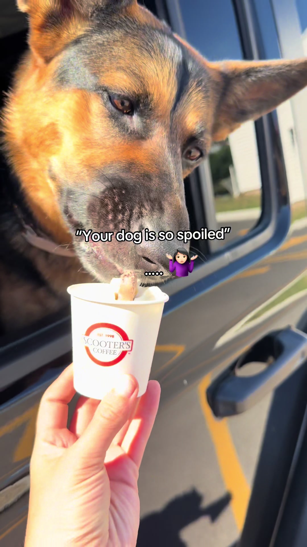 @Rory The Not-Working GSD