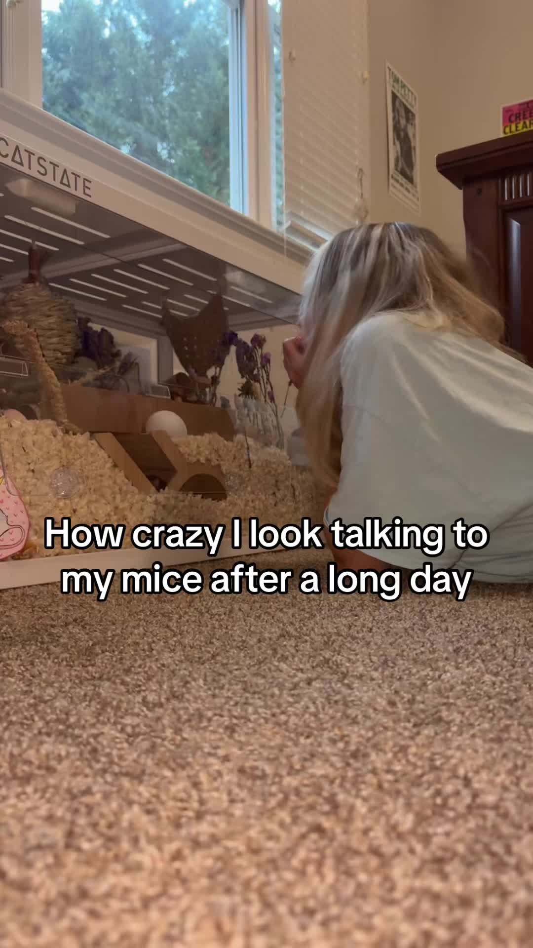 @thatweirdanimalgirl