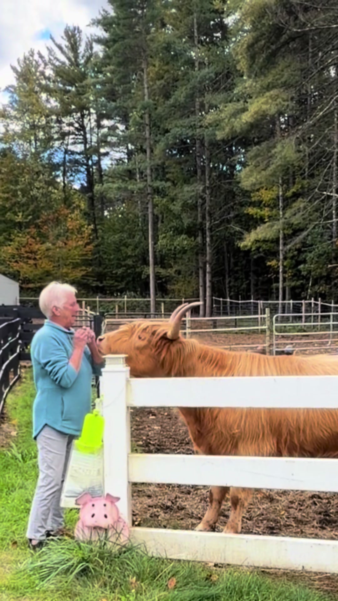 @Unshackled Hearts Ranch