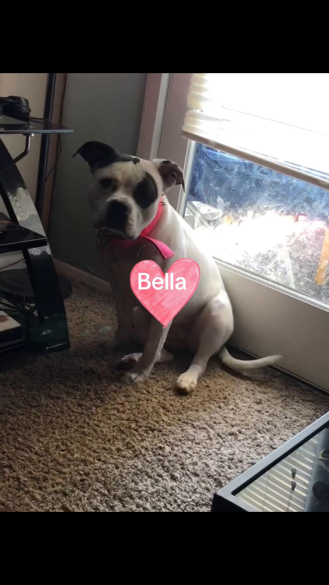 @Bella memories
