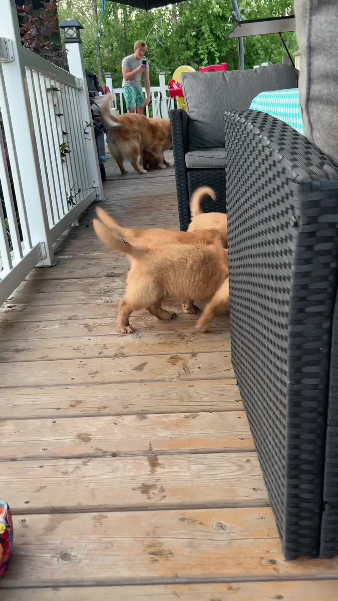 @Pandora