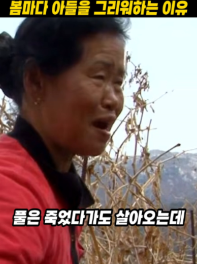 @하루한편
